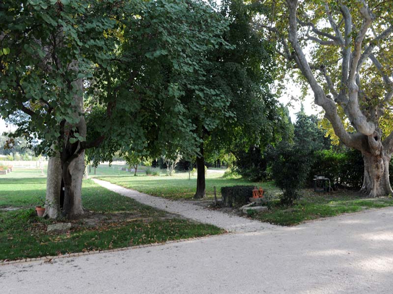 Domaine de Rochegude_84000 AVIGNON_16
